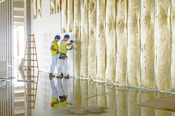 Best Commercial Insulation in Johnson City, NY